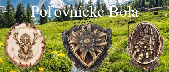 polovnicke bolo BH